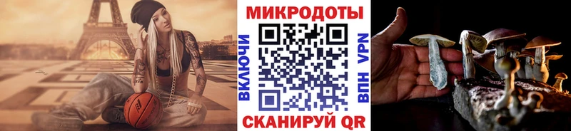 где купить наркоту  Александровск  shop официальный сайт  Псилоцибиновые грибы ЛСД 